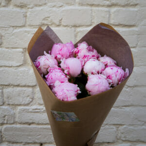 Just Peonies
