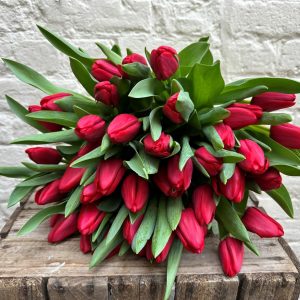 Valentine's Tulips