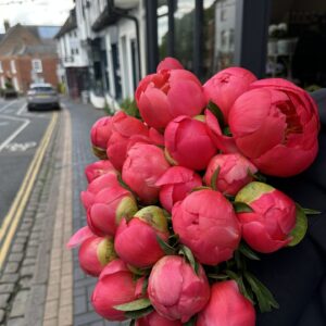 Just Peonies