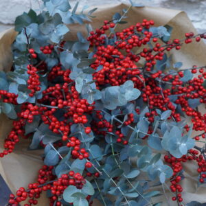 Ilex with Eucalyptus